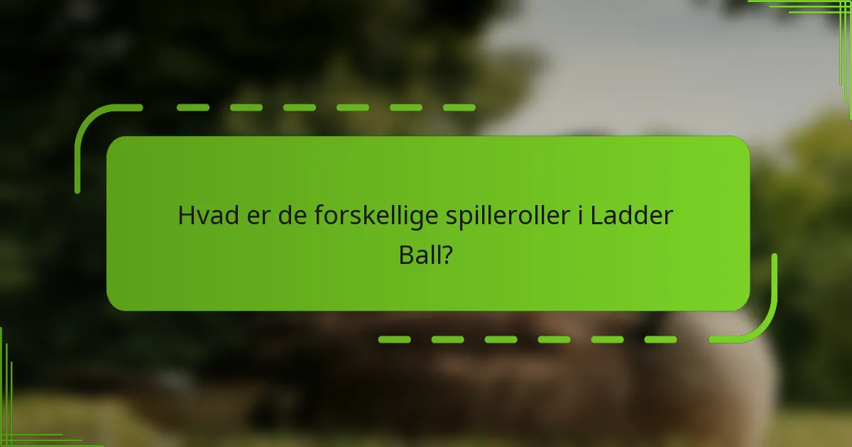 Hvad er de forskellige spilleroller i Ladder Ball?