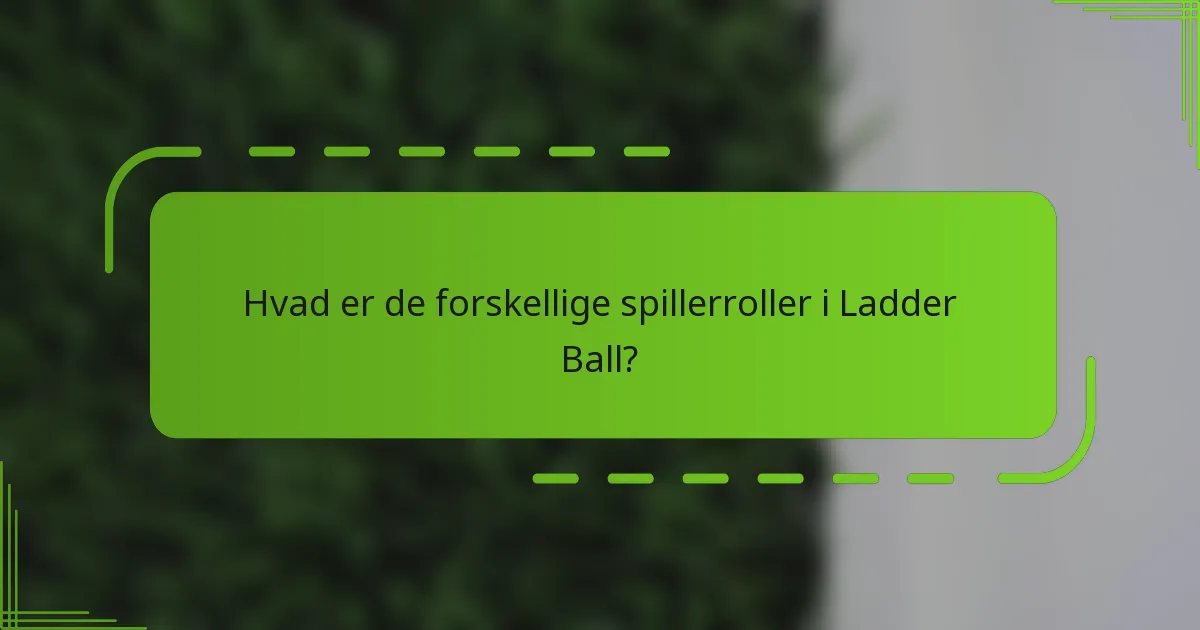 Hvad er de forskellige spillerroller i Ladder Ball?