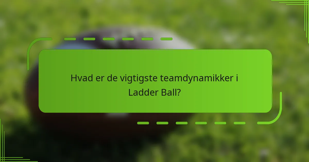 Hvad er de vigtigste teamdynamikker i Ladder Ball?