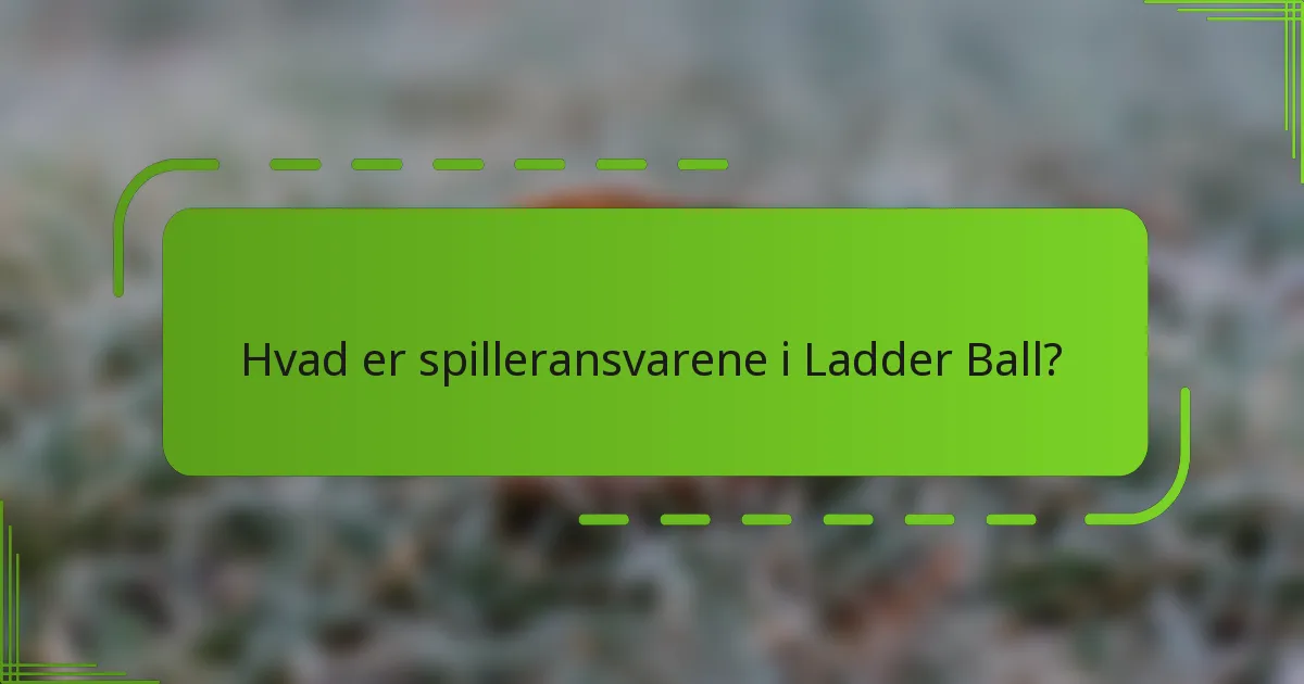 Hvad er spilleransvarene i Ladder Ball?