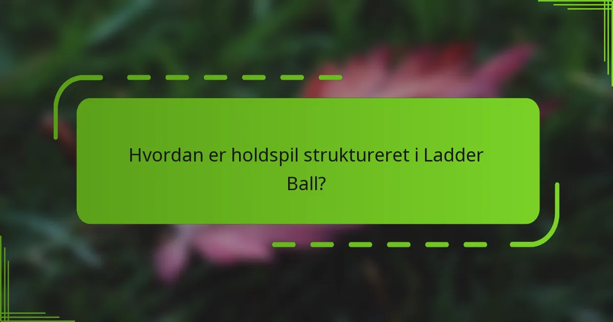 Hvordan er holdspil struktureret i Ladder Ball?