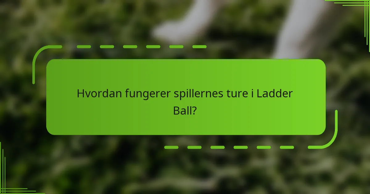 Hvordan fungerer spillernes ture i Ladder Ball?