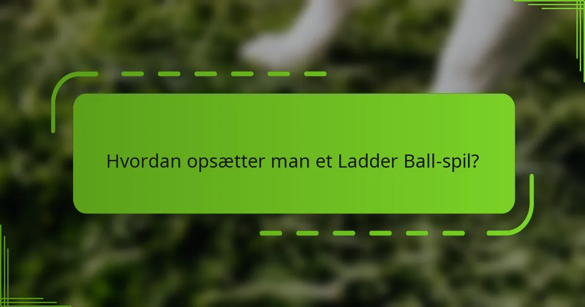 Hvordan opsætter man et Ladder Ball-spil?